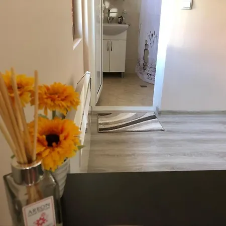 Rila 招待所 *